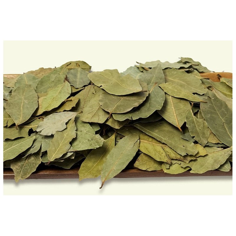 한방선생 건 월계수 잎, 150g, 1개 Herbal Teacher Bay Leaf,