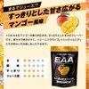 マイルーティーン MAX EAA マンゴー風味 パイナップル風味 540g (540g, パイナップル風味)