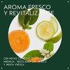 Aveda Scalp Solutions Balancing Shampoo Limpiador Hidratante