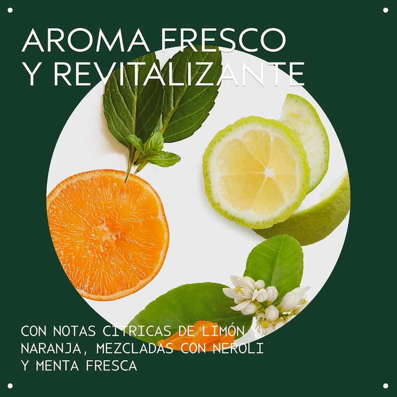 Aveda Scalp Solutions Balancing Shampoo Limpiador Hidratante