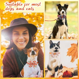 Talltalk 100 Pcs Fall Dog Bow Ties Collars Adjustable Autumn Pumpkin Maple Dog Bowties Bulk for Autumn Thanksgiving Day Party Pet Kitten Puppy Grooming Accessories