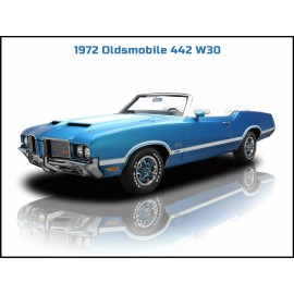 1972 Oldsmobile 442 W30 NEW Metal Sign: Large Size 12 x 16"  - PRIMO!