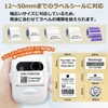 P50 Thermal Label Printer, Exclusive App, Original Design, USB Charging,