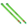 LEGAMI Erasable Gel Pen - Dino, Thermosensitive Ink, 0.7 mm