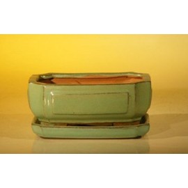 Bonsai Boy's Light Green Ceramic Bonsai Pot - Rectangle Professional Series with Attached Humidity Drip tray 6 37 x 4 75 x 2 625