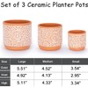DeeCoo DeeCoo 3 Piece Ceramic Plant pots Indoor Flower Pots
