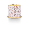 ILLUME Cassia Clove Demi Tin Candle