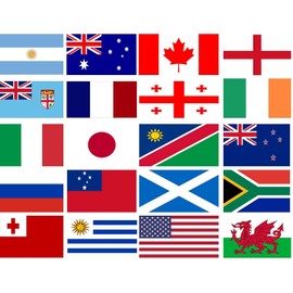 6m/20ft Polyester Fabric Small Bunting Garland with 20 Flags For Rugby Foot Ball Worldcup Olympic Sports Event Banner Decorations