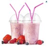 Nationwide Paper Strong Smoothie Cups with Dome Lids 12oz 25pcs