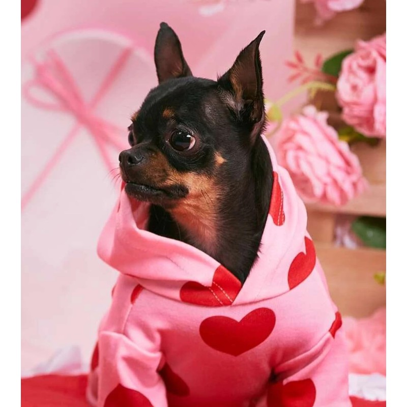 Genérico Sudadera para Perro pequeño, con Motivo de Corazones, San