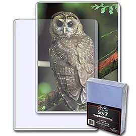 BCW Top Load Holder (25 Count), 5 x 7