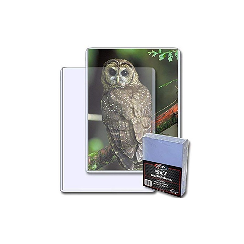 BCW Top Load Holder (25 Count), 5 x 7