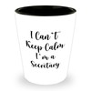 Funny I Can't Keep Calm I'm A Secretary Gifts -