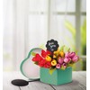 American Metalcraft TAGRECTANGLE5 Chalkboard, Silhouette, Mini, Rectangle, 5-pack, Black