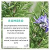 Shampoo Neem anticaida 350ml Tonico capilar ortiga 60ml