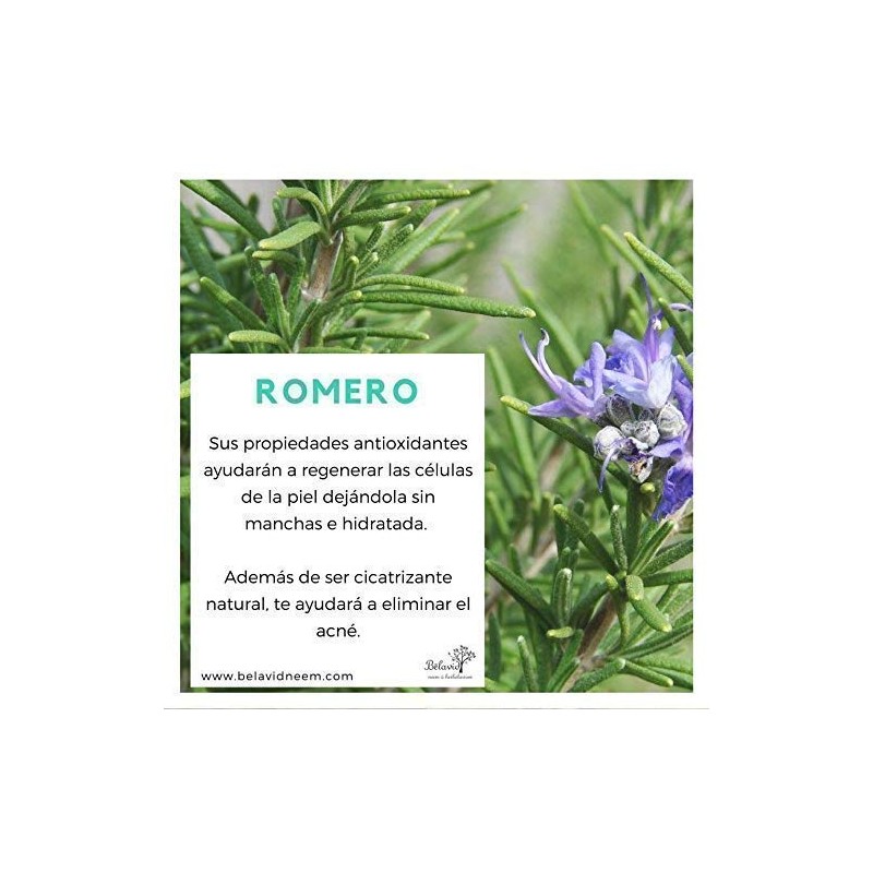 Shampoo Neem anticaida 350ml Tonico capilar ortiga 60ml