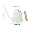 Watering Can with Long Spout 800ml Stainless Steel Matte Indoor