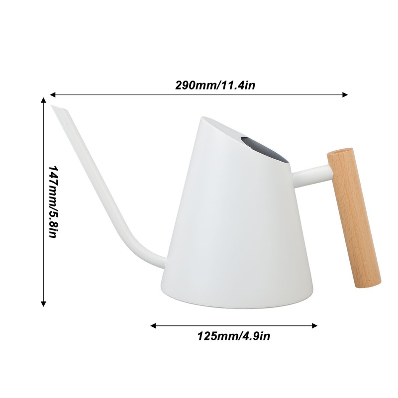 Watering Can with Long Spout 800ml Stainless Steel Matte Indoor