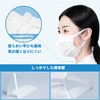 Hellozebra Non-woven Mask, Individually Packaged, Disposable, 3-Layer Structure, 4-tier Pleated,