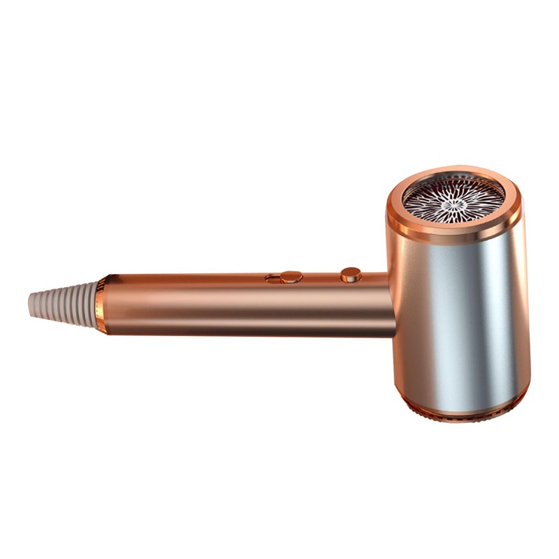 Negative Ion Hair Dryer High Power Blue Light Caring Quiet