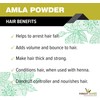 Forest Herbs 100% Natural Organic Amla Powder For Hair Growth
