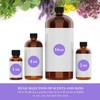 Oil of Youth Essential Oils 4oz - Cedarwood Essential Oil