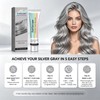 Silver Hair Dye, Metallic Silver Gray Hair Color for Bleached