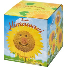 Seishin Pottery GD-1033 All Year Round Home Garden Cultivation Kit, Sunflower, Mini, Easy, Loose Growing, Flower Cultivation Set, Yellow (Free Research), Mother's Day, Birthday, Gift, Pot Diameter