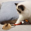 Gigwi Interactive Cat Toys for Indoor Cats, Cat Mouse Toys