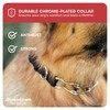 Downtown Pet Supply Chrome Plated/Nylon Prong Collar for Dogs, Large