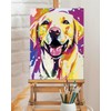 TOCARE Framed Paint by Numbers Kit for Adults, 12x16Inch Dog
