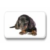 Merchandise for Fans Dachshund / Teckel / Dachshund - 6