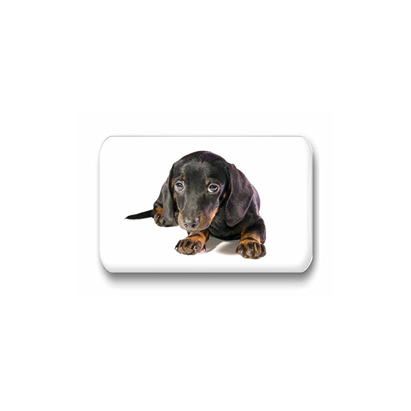 Merchandise for Fans Dachshund / Teckel / Dachshund - 6