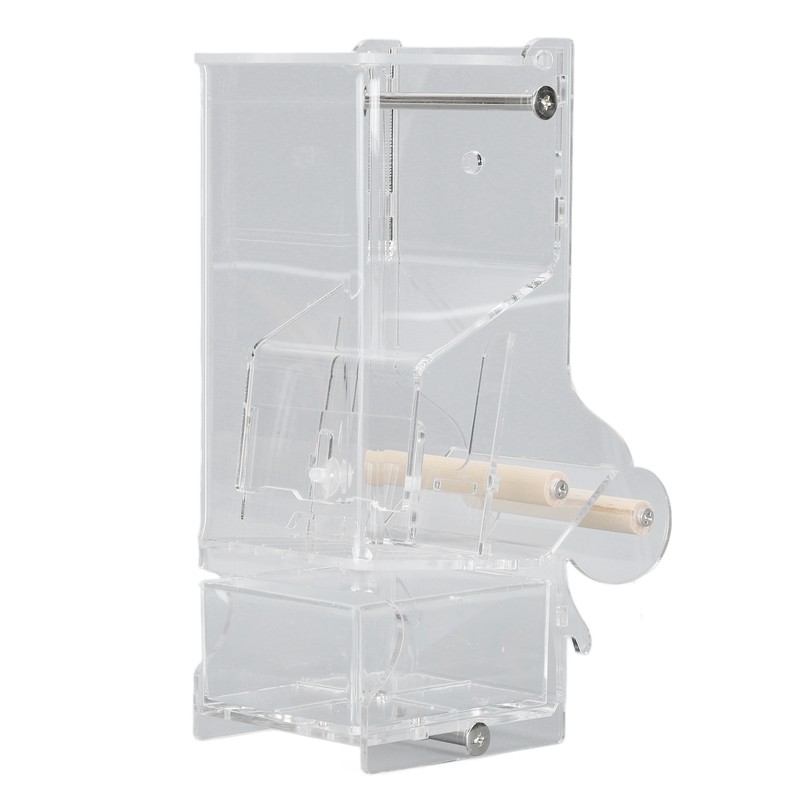Automatic Parrot Feeder Prevent Spillage and Splashing Easy Installation Acrylic