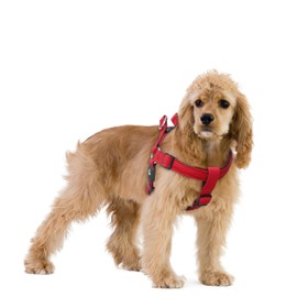 Kruz Original Heavy-Duty No Pull Dog Harness - Ultra Comfort, Lifetime Durability, Pet Harness for Small and Medium Dog Breeds (Red, Medium)