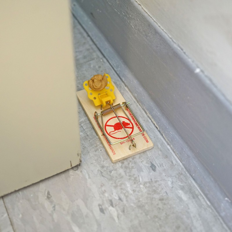 Snap Mouse Traps with Spring Action and Expanded Cheese-Shaped Trigger,