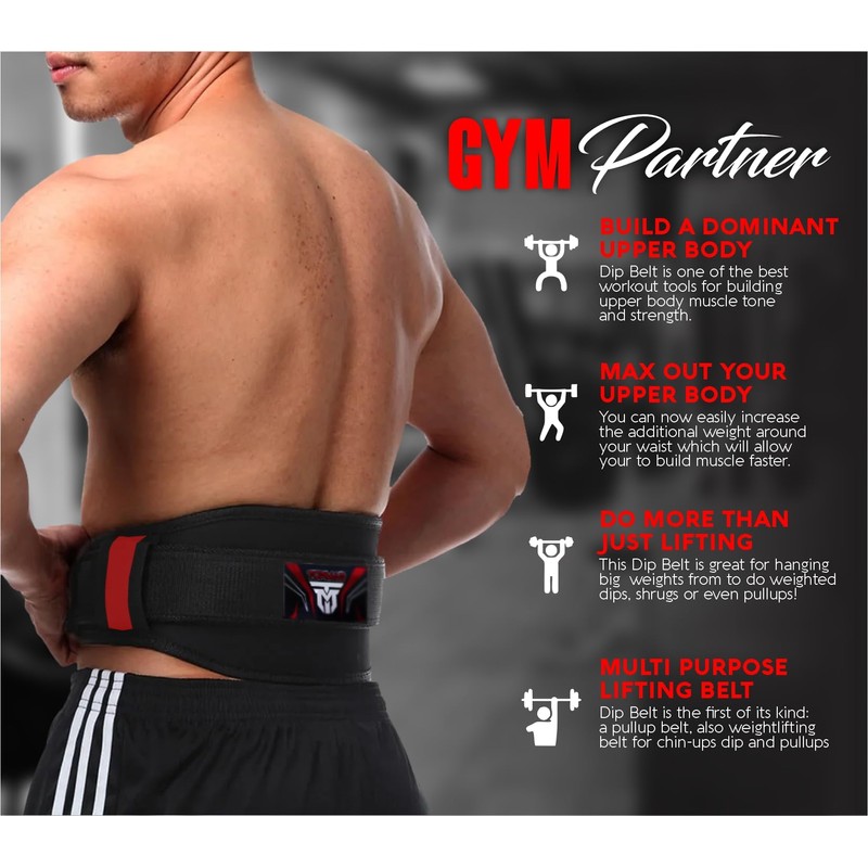 Weight Lifting Belt (Large)