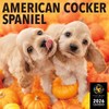 PICTWAN Calendar 2026 [Large] American Cocker Spaniel