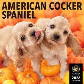 PICTWAN Calendar 2026 [Large] American Cocker Spaniel