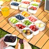 Compartment Serving Tray with Easy-Carry Handle - Lid &amp; Detachable