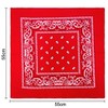 LZKHEH Set of 3 Bandanas for Men and Women, Nicki