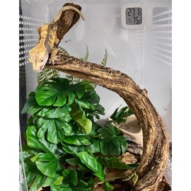 Woyrise Reptile Artificial Plants for Terrarium, Amphibian Habitat Decor Plant, Bearded Dragon Tank Decorations fit Gecko Lizard Chameleon Ball Python Snake Frog - Monstera Bush