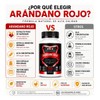 Suplemento Arándano Rojo 200 Cápsulas 500mg A4h Armor For He