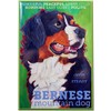 Bernese Fridge Magnet