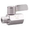 DERNORD 1/4 inch Stainless Mini Ball Valve NPT Female x