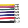 Dog Lead With Shock Absorbing Bungee Cord Training Walking Leash