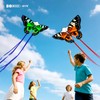 DoinFly Butterflys for Kids, Beautiful Kite Easy to Fly for