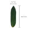 Bamboo Leaves | 28-32 cm | Zongzi | Sasanoha |