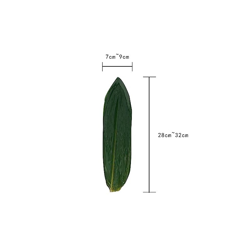 Bamboo Leaves | 28-32 cm | Zongzi | Sasanoha |