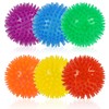 Supecesorio Squeaky Dog Toy Balls, 6 Pack 6.5CM Spike Ball